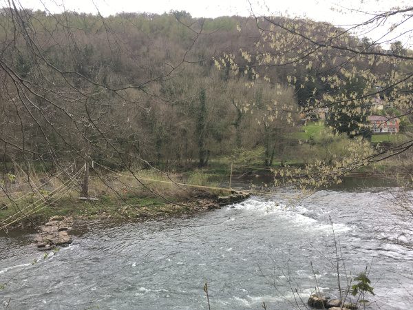 Photograph of Wye Rapids Island